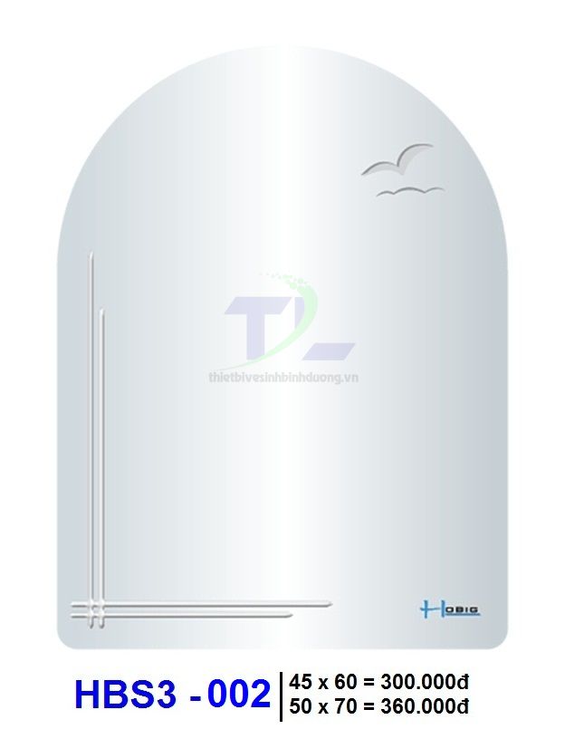 Gương soi phòng tắm HOBIG HBS3-002